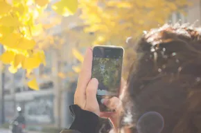 iPhone Photo Academy Review: Best Photography Course for Beginners? by RecCollective Team